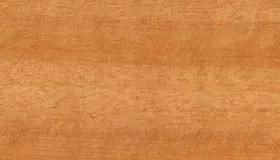 Образец № 50