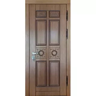 Парадная усиленная дверь для квартиры
